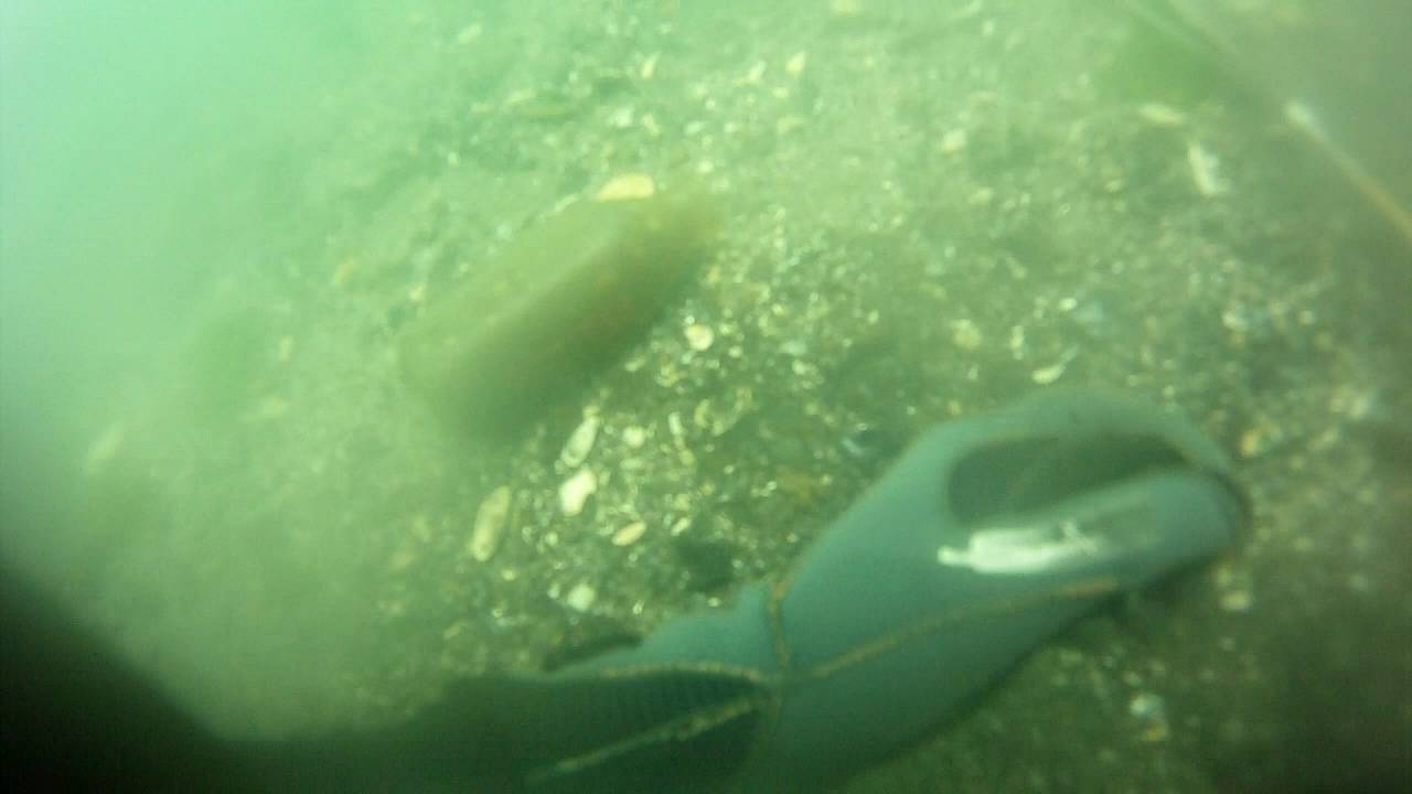 Scuba diving and spearfishing New Jersey YouTube