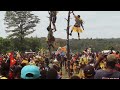 Pomio tree dance from the mamusi tribe of pomio district enbp 