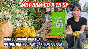 Máy Băm Cỏ 6TA SP- Băm Nhanh- Băm Nhỏ Tất Cả Các Loại Cỏ Cây Thân Mềm Làm Thức Ăn Cho Vật Nuôi