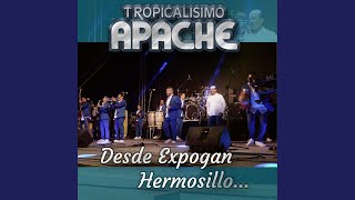 Miniatura del video "Tropicalisimo Apache de Arturo Ortiz Solis - Viento"