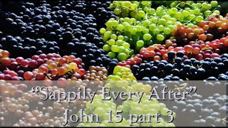 201108 Sappily Ever After