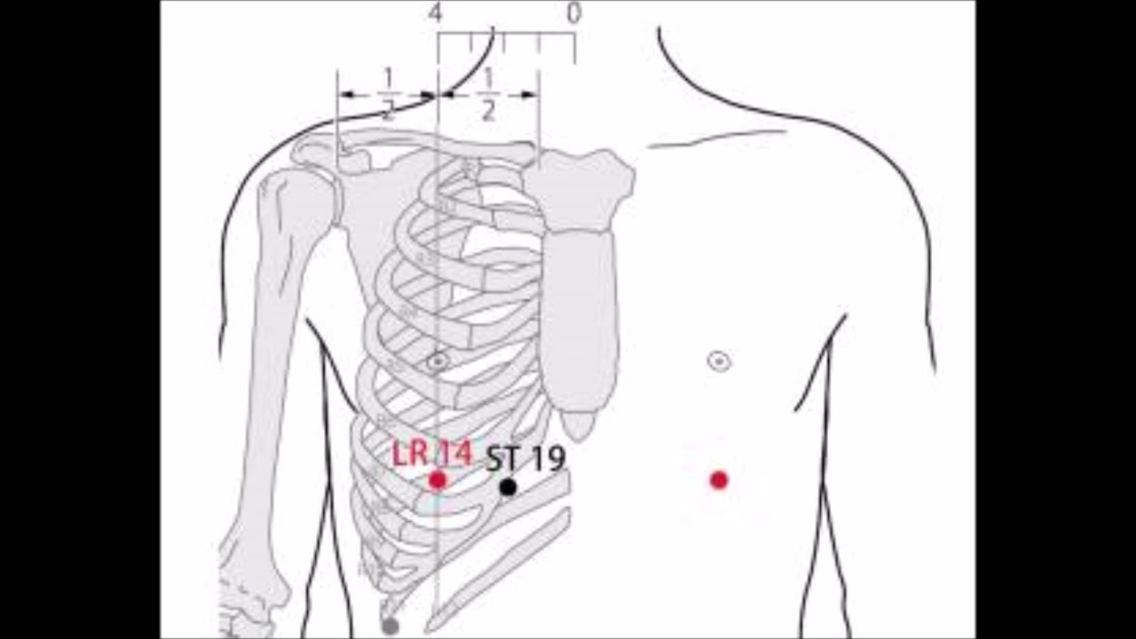 2 A Acupuncture, 14 F, Qi Men, 期门, Point Mu du Foie