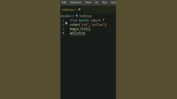 Amazing Turtle Graphics in python|5| #shorts #video #viralvideo #codecreaterskr