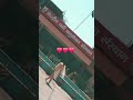 ❤️❤️❤️❤️