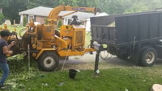 Aguilar tree service in olney Maryland