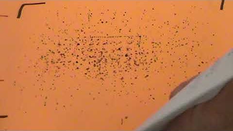 Eureka Math Grade 4 Module 5 Lesson 6