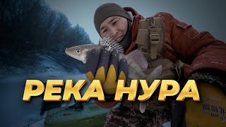 видео: Зимняя река Нура; всегда разная - всегда РЫБНАЯ!!! картинка: Зимняя река Нура; всегда разная - всегда РЫБНАЯ!!!