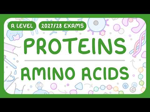 A-Level Biology - Proteins: Amino Acids | Dipeptides | How to Test for Proteins (2027/28 exams)