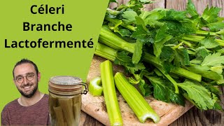 Céleri Branche Lactofermenté