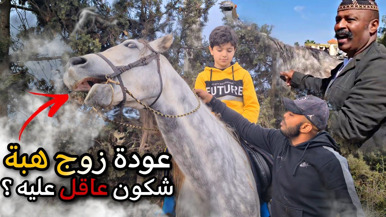اخيرة عودة زوج هبة لحصان أول حصان لي نقد أشرف قيصر من الجزار 😢 شوفوا الجولة لي درنا وسط طبيعة مديونة