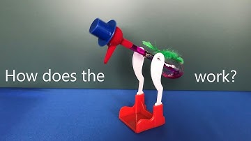 how does the drinking bird work