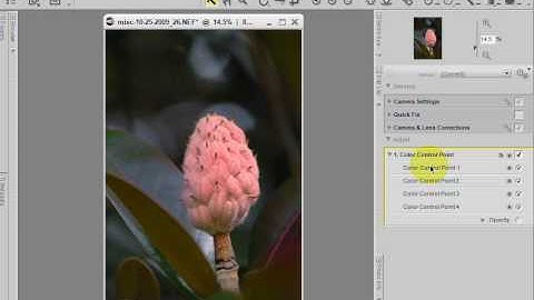 Nikon Capture NX 2 Color Control Points