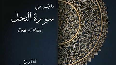 ماتيسر من سورة النحل من آية ١٢٥ - ١٢٨ لصلاة المغرب بصوت القارئ علي عبدالله العباسي لعام 1441