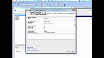 Alpha Five v11 User defined popup window 1