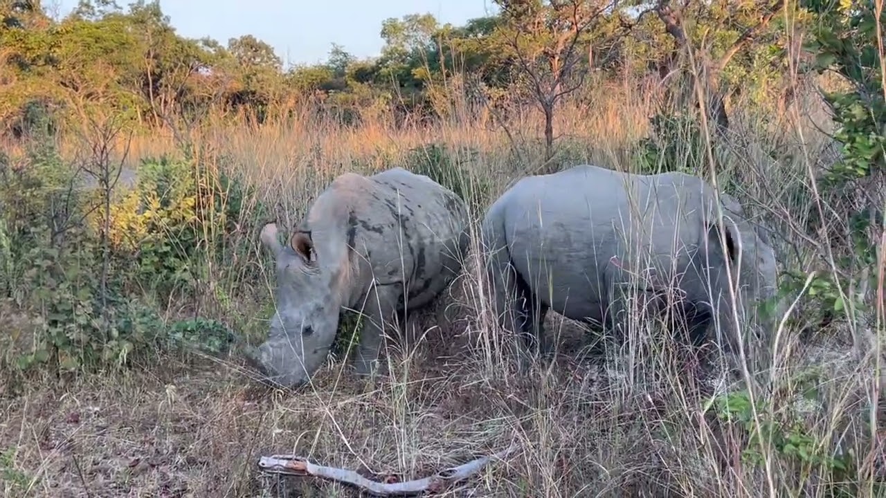 Matobo National park - Zimbabwe
