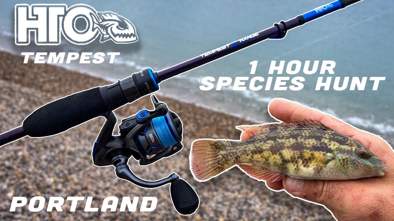 HTO Tempest RANGE 1 час охоты на виды! Портленд Дорсет LRF