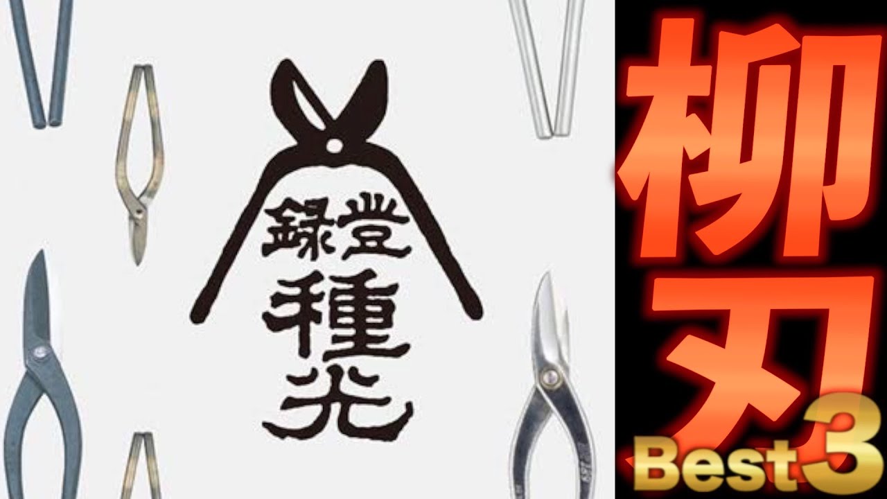 大角機械 大角社長に種光さん柳刃のおすすめベスト3聞いてみた - YouTube