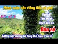 Chủ cần bán về quê nên bán rẻ 2ha mặt đường bê tông dài miên man nguồn thu mạnh giá bèo nhèo