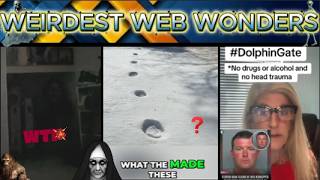 weirdest web wonders vol 91