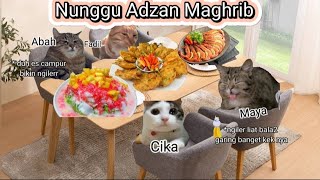 Pov kucing di bulan puasa Ramadan | meme kucing #3