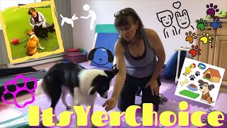 How to Train Your Dog to Leave It with No Command: Susan Garrett's ItsYerChoice