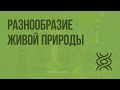 Разнообразие живой природы. Царства живых организмов. Отличительные признаки живого. Видеоурок