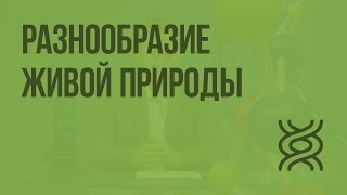 Разнообразие живой природы. Царства живых организмов. Отличительные признаки живого. Видеоурок