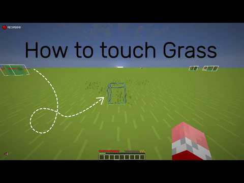 How to touch Grass in minecraft !