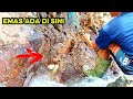 Ciri-ciri jalur emas di sungai #emas #gold #emasaluvial 