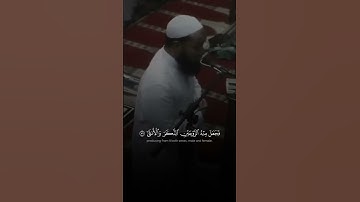 الشيخ رضا عبدالمحسن | ما تيسر من سورة القيامة