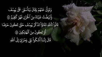 إنه لا ييأسوا من روح الله إلا القوم الكافرون | سورة يوسف | تلاوة رائعـــــــــة للقارئ احمد النفيس