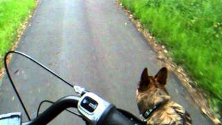 DSCF1642.AVI