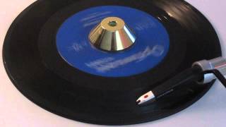 ROYAL JESTERS - LADY SUNSHINE OPTIMUM