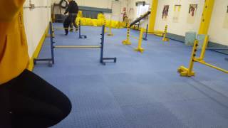 KRRs Training - Beginners Agility - Tias Week 5