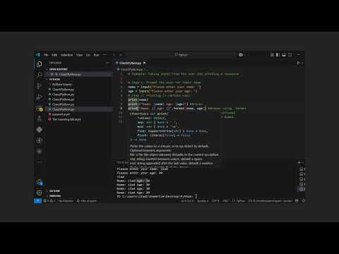 User Input and Printing The Variable - Python