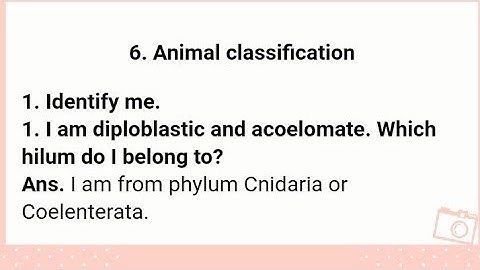 STD 10th ll Science 2 ll Chapter 6 : Animals Classification ll Exercise Answers 2020