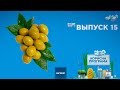 Как выбрать вкусные оливки | ПОЛЕЗНАЯ ПРОГРАММА. Выпуск 15 — 06.02.2020