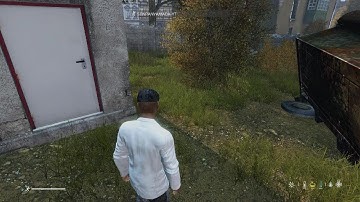 Strange encounter in Dayz