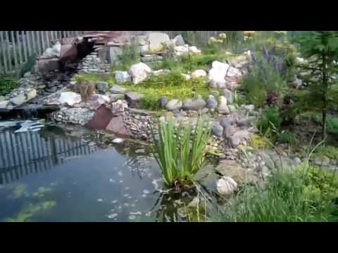 Альпийская горка. Каменные терассы с растениями. Водопад.