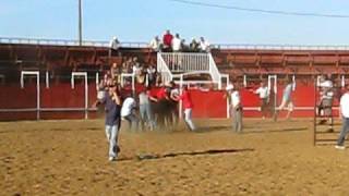 festa da tomina 08