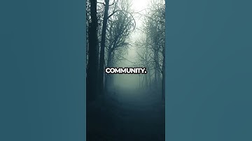 Afro Nation 2024: Unforgettable Beats & Beach Vibes! #Shorts