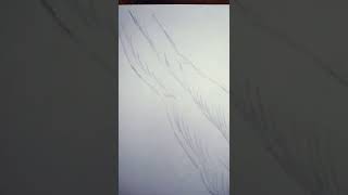 Gymnast girls torso hips legs feet tied ready to be tickled soles bondage Gymnast girls torso hips legs feet tied ready to be tickled soles bondage