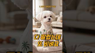 "다 말렸는데 또 비벼요" I JUST DRIED YOU