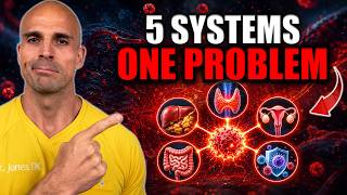 Doctor Explains the 5 System Approach to Healing Inflammatory Conditions (PCOS, Hashimoto’s & More)