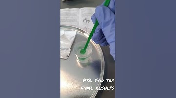 making a crystal 🔮 tree with KH2PO4 #crystals #science #experiment