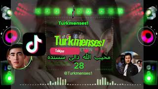 محیبالله دالی 28