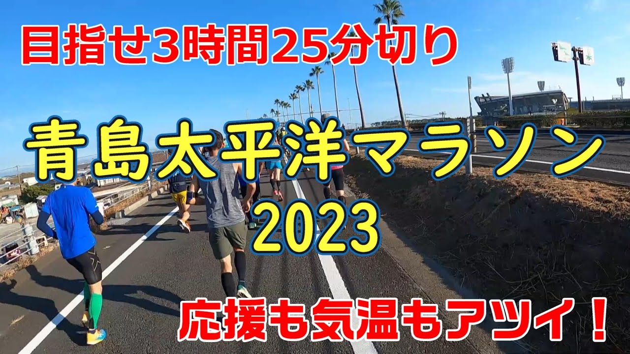 【夫婦で目指せPB】青島太平洋マラソン2023【サブ3.5】