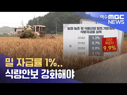 <strong>밀</strong> 자급률 1%.. 식량안보 강화해야 -R (221222목/뉴스데스크)