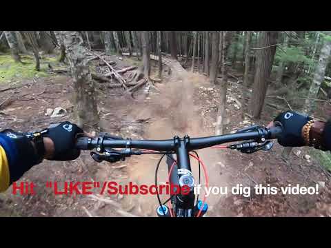 Devil's Club  ||  Tricky Blue Run  ||  Should Be a Black  ||  Whistler Mountain Bike Park