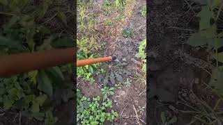 🌱⛏️ Heavy-Duty All-Steel Hollow Hoe | Quick Weed Pulling & Soil Tilling Hack